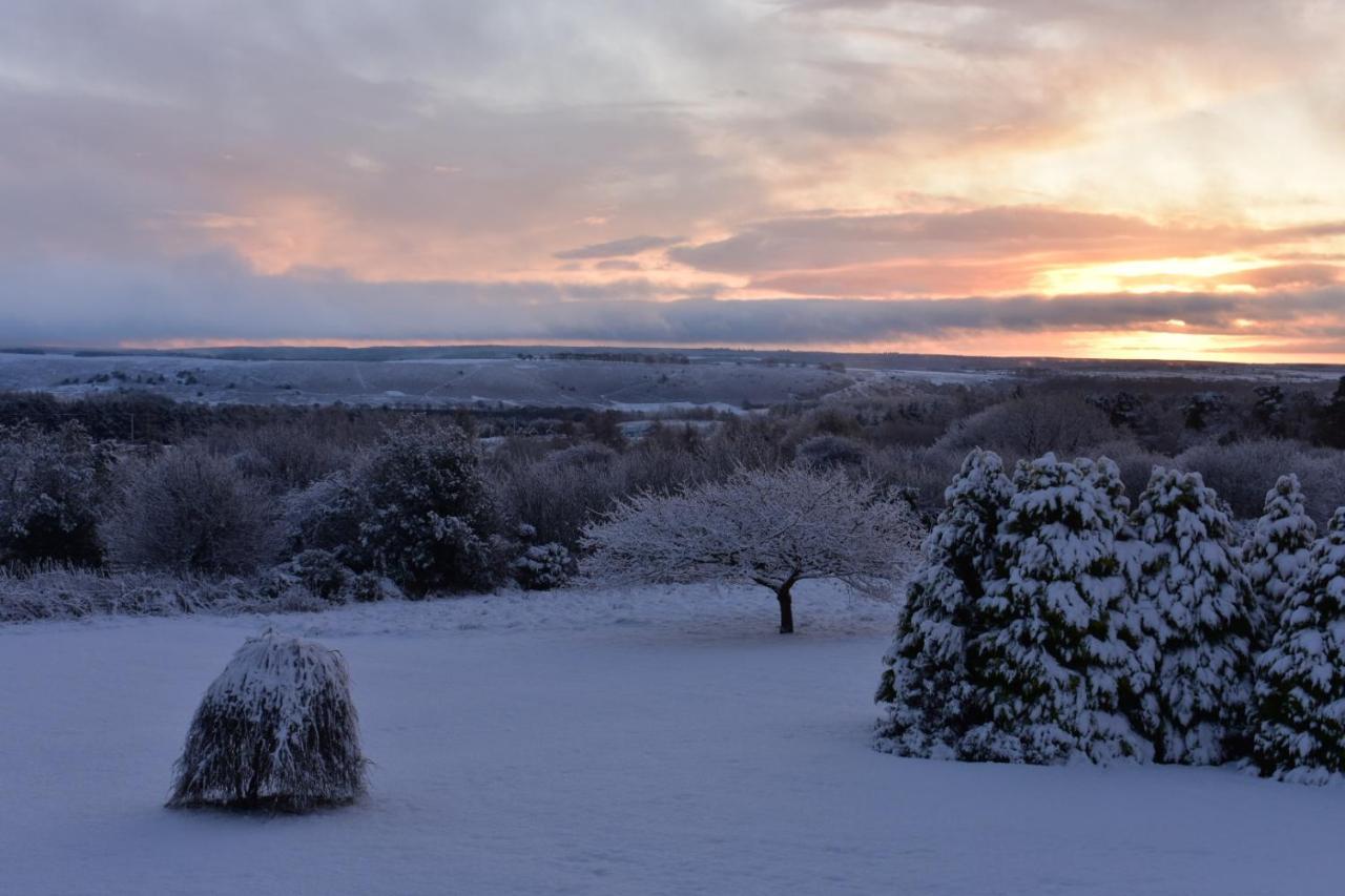 Ticketyboo Suites Pickering Exteriér fotografie